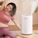 Humidifier 250ML/H Humidification 4L Large Capacity Fog Machine Adding Water for Home Office Humidity Control Low Noise Desktop Bedroom Aromatherapy Humidifier
