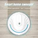 Home Automatic Floor Clraning Robot Mini Intelligent Wireless Vacuum Cleaner USB Rechargeable Wet And Dry Homesweeper