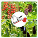 Plant Vine Binder Tape Machine Sets For Grapes Raspberries Tomatoes And Grape Vegetables With 20 Rolls Of Tape