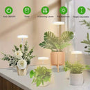 1 To 3 Angel Ring USB Plant LED Light with 3 Lamp Heads 2/4/8 Hours Switch Timer 4 Level Brightness Adjustment Suitable for Indoor Plant Growth