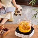 220V 1000W Household Electric Pottery Cooker Multifunctional High Power Hot Pot Stove Countertop Induction Cooker