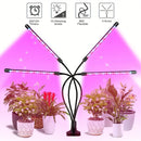LED Plant Growth Lamp Plant Lamp Clip Timing Full Spectrum Sunlight Succulent Flower Herb Seedling Fill Light Promotes Rapid Plant Growth For Home Gardens