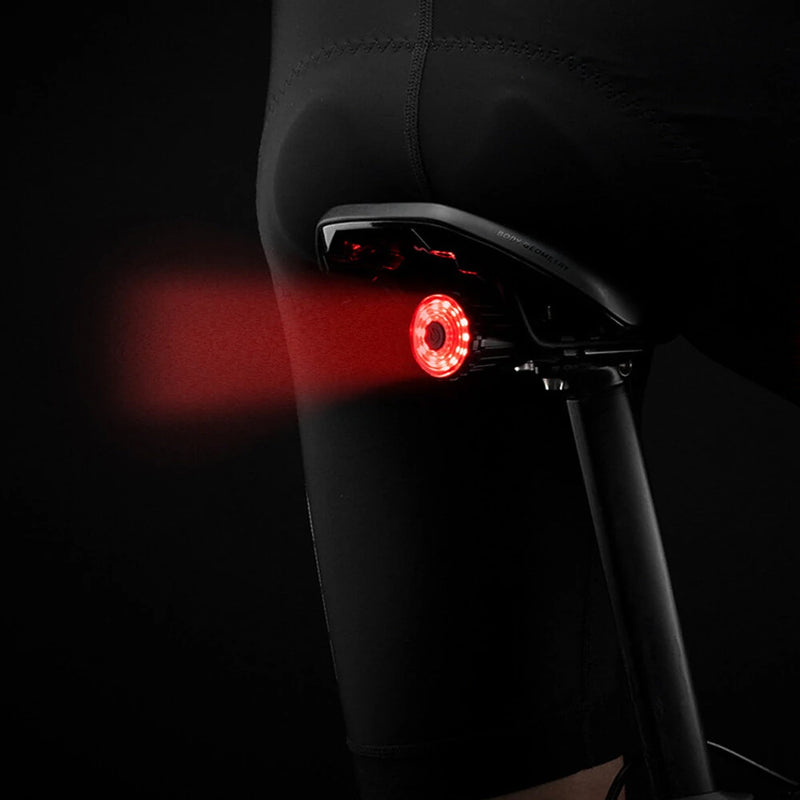 ROCKBROS 100LM Bike Tail Light Brake Sensing Rear Lights 7 Modes USB Rechargeable Safety Warning Lamp