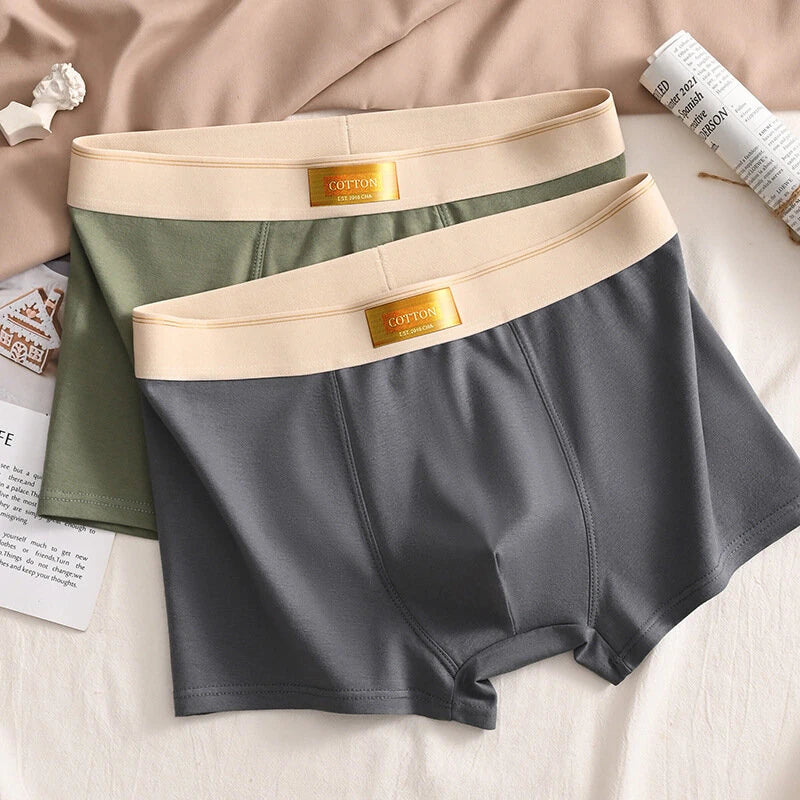 4pcs Men's Underwear Boxer Briefs Breathable Comfortable Short Leg Cotton Trunks Plus Size Panties Underwear L-4XL