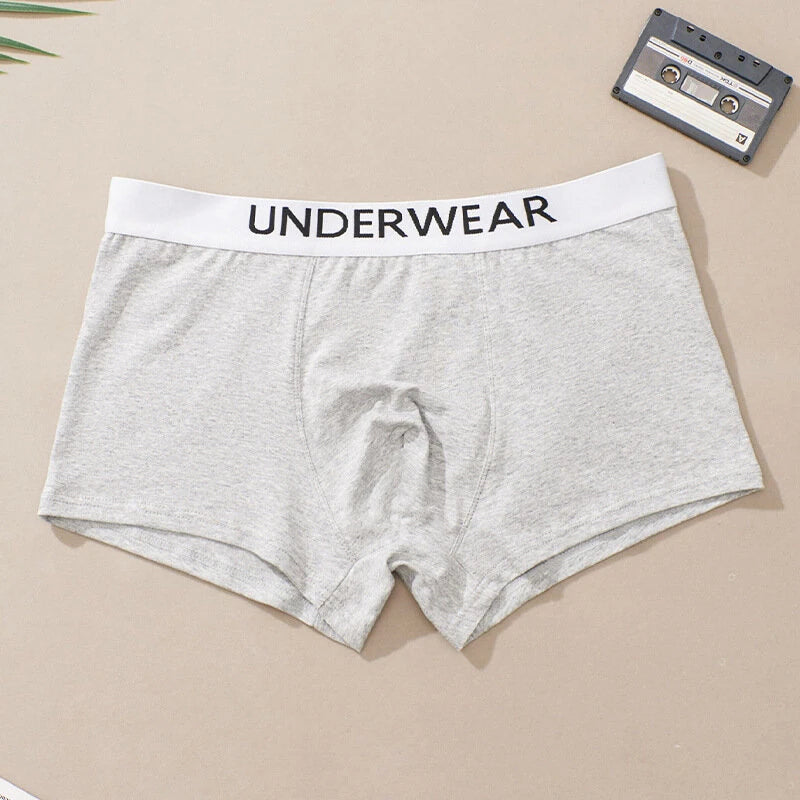 4pcs Men's Underwear, Fashion Waistband Cotton Casual Mid-waist Boxer Briefs Shorts, Breathable Comfy Stretchy Boxer Trunks, Sports Shorts