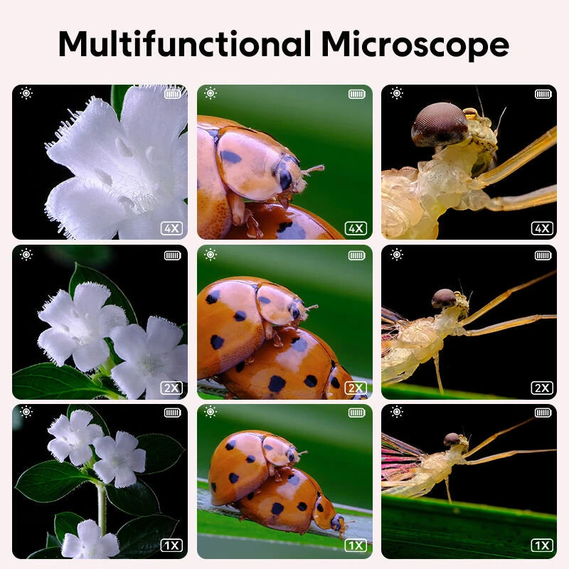 600mAh 500X Children's HD IPS Microscope Plant Specimen Magnifier Portable Microscope for Children Aged 8-12