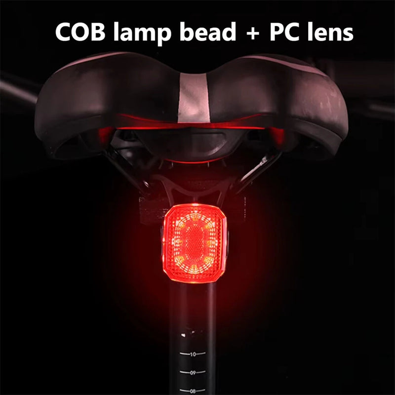 BIKIGHT Smart Sensing Brake Bicycle Taillight 6 Lighting Modes Waterproof Type-C Charging Bike Rear Light for MTB Night Riding Warning Safety