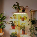 LED Quantum Board Plant Growth Lamp Indoor Aquarium Seedling Landscape Full Spectrum Green Plant Succulent Plant Fill Light