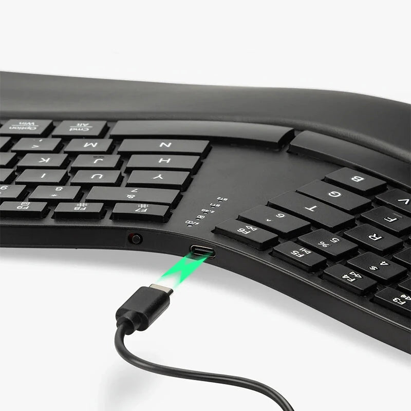 Delux GM909 Ergonomic Keyboard 2.4G Wireless/bluetooth 112 Keys Rechargeable Full Size with Scissor Switch Palm Rest for Windows/Mac