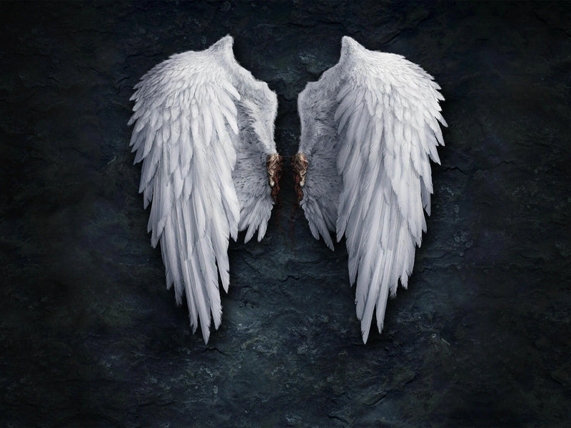 30*40 cm Angel's Wings Wall Hanging Painting Living Room Background Home Living Bedroom Decoration Drawing