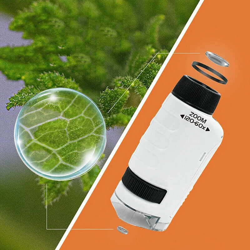 Portable Handheld Microscope for Kids Mini Labsters Portable Microscope Portable Microscope Kids Minilabsters Handheld Pocket Microscope