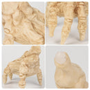 Induction Crawling Ghost Hand with LED Light Halloween Skeleton Hand Realistic Halloween Props Hand Decoration Haunted House Props Costume Props Halloween Haunted House Theme Party Decoration