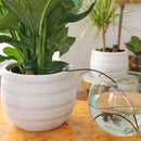 4Pcs Vacation Plant Waterer Ceramic Self Watering Spikes Automatic Plant Drip Irrigation Water Stake For Garden Vegetable Garden Drip Watering System