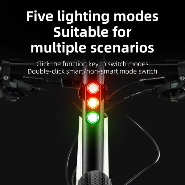 ROCKBROS Smart Vibration Brake Sensor Bike Taillight 460mAh Battery 5 Light Modes Type-C Rechargeable IP64 Waterproof Wear-resistant Bicycle Rear Light for Night Cycling