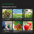 4 in 1 Professional Soil Tester Moisture PH Temperature Sunlight Intensity Meter Digital Display Soil Tests