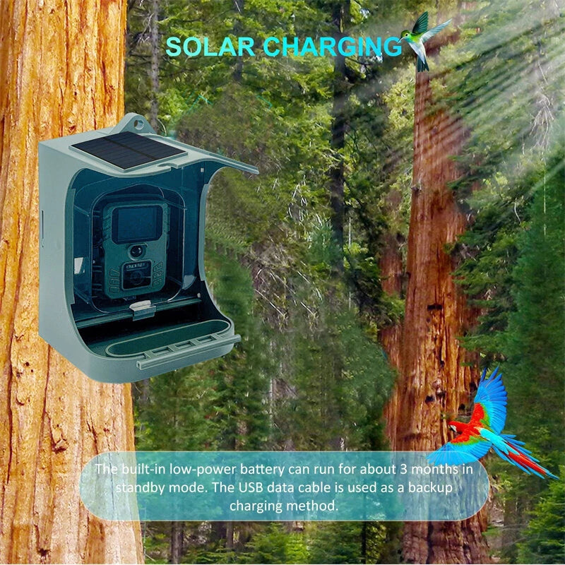 ZANLURE BC303 Solar Powered 1080P 24MP Wireless Smart Bird Feeder Camera IP65 Waterproof With Motion Sensor Bird Feeder Outdoor Bird Camera