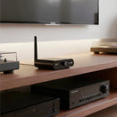 AU2410 Wireless Audio Transmitter and Receiver 15ms Low Latency 100m Range Hi-Fi Stereo Sound Support One to Many Plug and Play