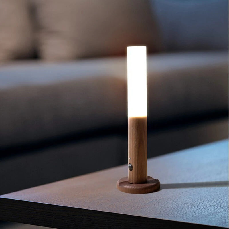 Magnetic USB LED Human body sensing Night Light  Kitchen Cabinet Light Home Stair Bedroom Table Motion Lamp Bedside Lighting