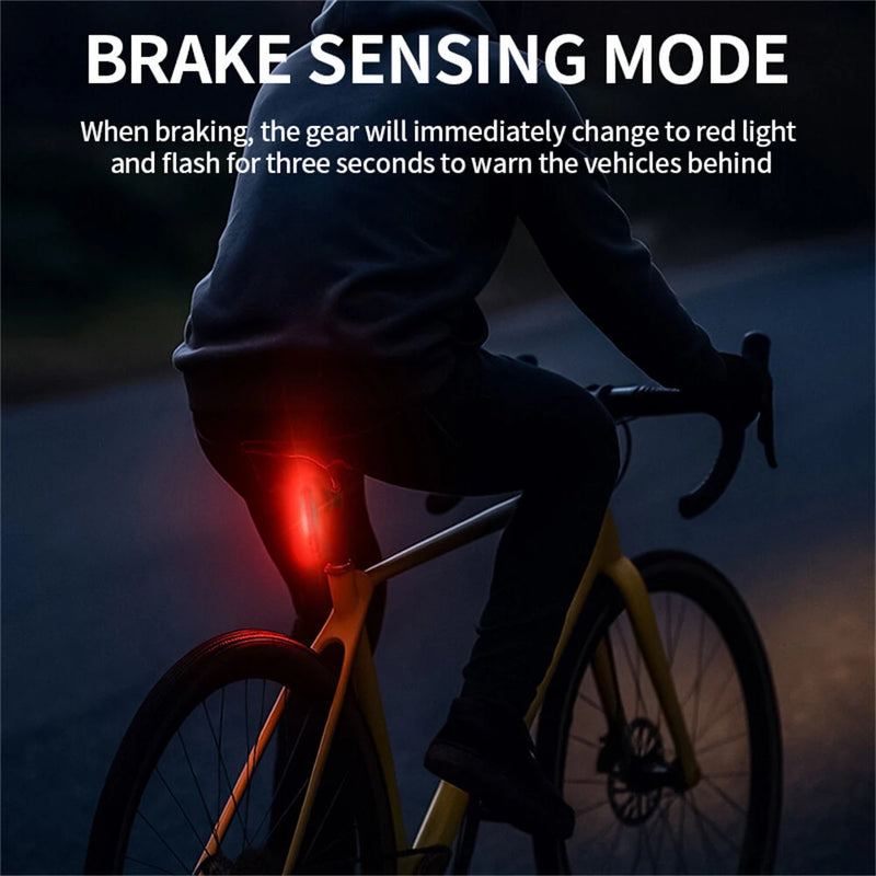 BIKIGHT 10-50LM 1PCS RGB LED Bicycle Smart Sensor Brake Taillight Type-C Charging Waterproof Warning Bike Rear Light for Night Cycling Safety