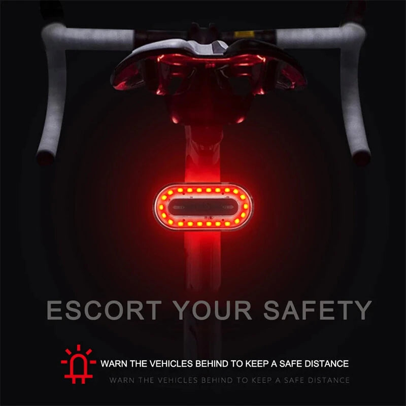 BIKIGHT Colorful RGB USB Rechargeable LED Bike Taillight 14 Light Modes Waterproof Safety Rear Light for Night Riding Cycling Equipmen