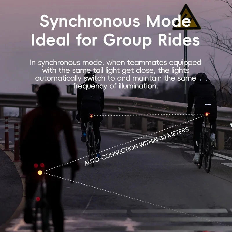 ROCKBROS BL-S2 Smart Brake Sensing Bike Taillight 400mAh Battery  Touch Control Light Sensing 6 Lighting Modes IPX6 Waterproof Type-C Rechargeable Vibration Sensor Bicycle Rear Light