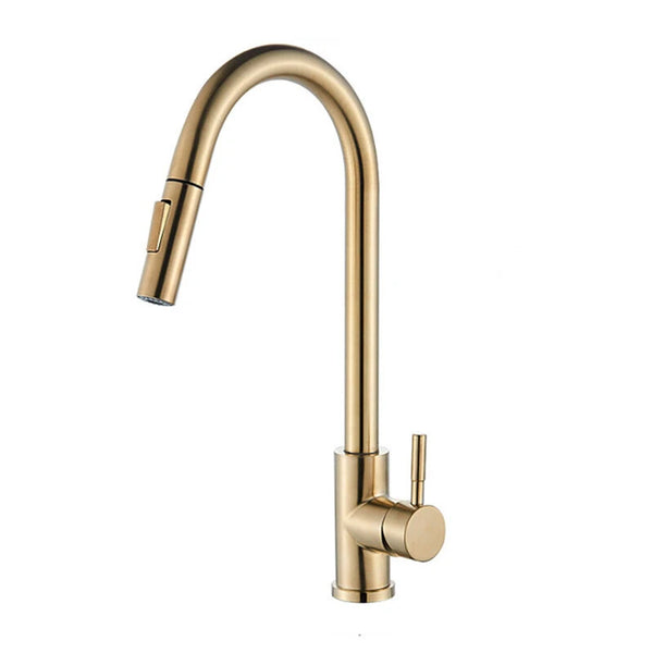 304 Stainless Steel Pull-out Faucet Straight Nozzle Kitchen Pull-Out Faucet with Sprayer Mode Steam Mode