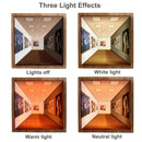 Naked Eye 3D Visual LED Wall Art with LED Lights with Stand Night Light with 3 Lighting Effects Wall Mounted Atmosphere Light for Living Room