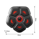 KALOAD Smart Electronic Boxing Machine Rhythm Musical Target RGB Lights Music Boxing Taekwondo Muay Thai Karate Sanda Martial Arts for Fitness Training Christmas Gift