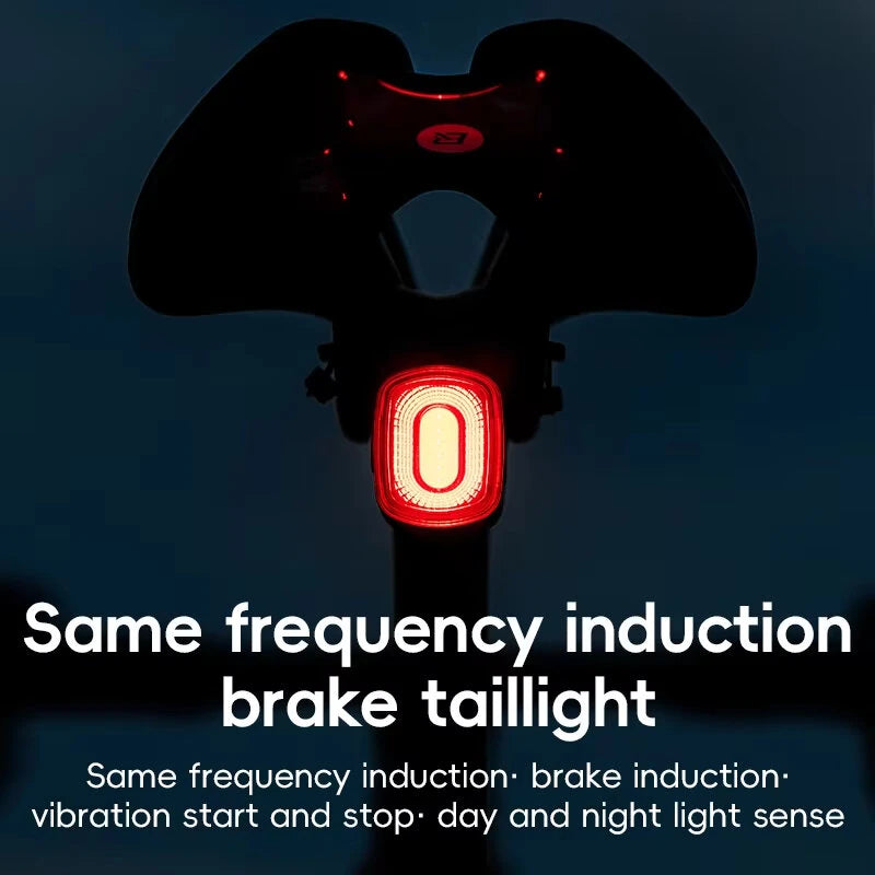 ROCKBROS R2 Smart Brake Sensing Bike Taillight Same Frequency Induction Rear Light 4 Lighting Modes IPX6 Waterproof Type-C Rechargeable Bicycle Rear Light