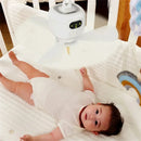 IPRee Portable Ceiling Fans 8000mAh Outdoor Camping Fan Tent Ventilator Cooler Rechargeable Electric Fan Remote Control LED Lighting