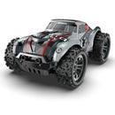1/20 2.4G Mini RTR RC Car Off Road Vehicle Models Toy