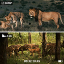 IPRee NV8000C Portable Infrared Night Vision Telescope 2.5K UHD 30MP Binoculars Camera for Camping Security Surveillance