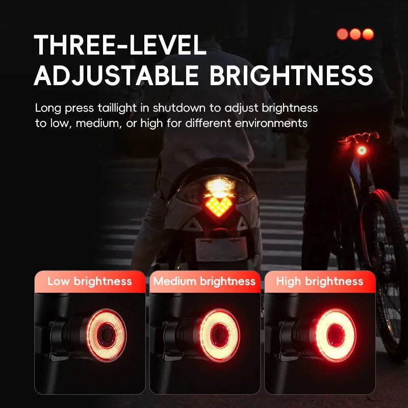 ROCKBROS R3 Smart Brake Sensing Bike Taillight 4 Lighting Modes IPX6 Waterproof Type-C Rechargeable Vibration Sensor Bicycle Rear Light