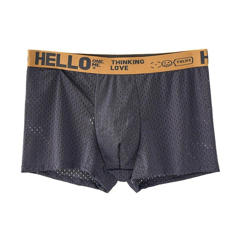 4pcs Men's Boxers Ice Silk Mesh Boxers Shorts Comfortable U Convex Pouch Underwear Loose Breathable Boxers Underpants Male Panties