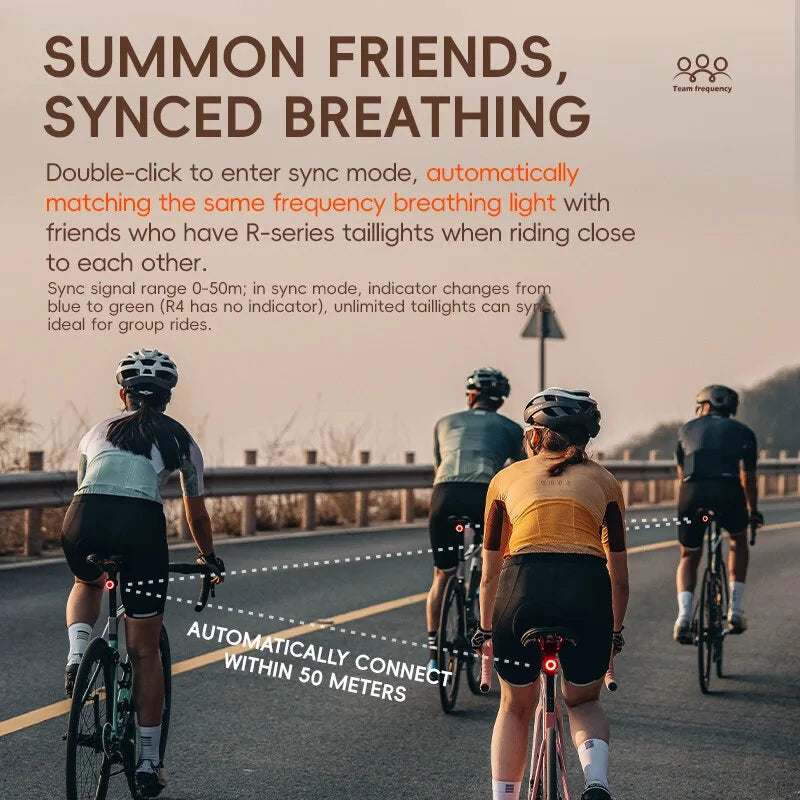 ROCKBROS R3 Smart Brake Sensing Bike Taillight 4 Lighting Modes IPX6 Waterproof Type-C Rechargeable Vibration Sensor Bicycle Rear Light