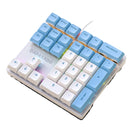 Mechzone K33 33-Keys Wired Mechanical Keypad Mini RGB Numeric Keyboards PBT Sublimation Keycaps Red Switch for Finance Business Keypad Laptop Keyboard