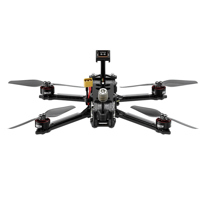 GEPRC Tern LR40 Analog 4 Inch 4S Long Range FPV Racing Drone PNP BNF with Taker G4 45A AIO 1W VTX Caddx Ratel2