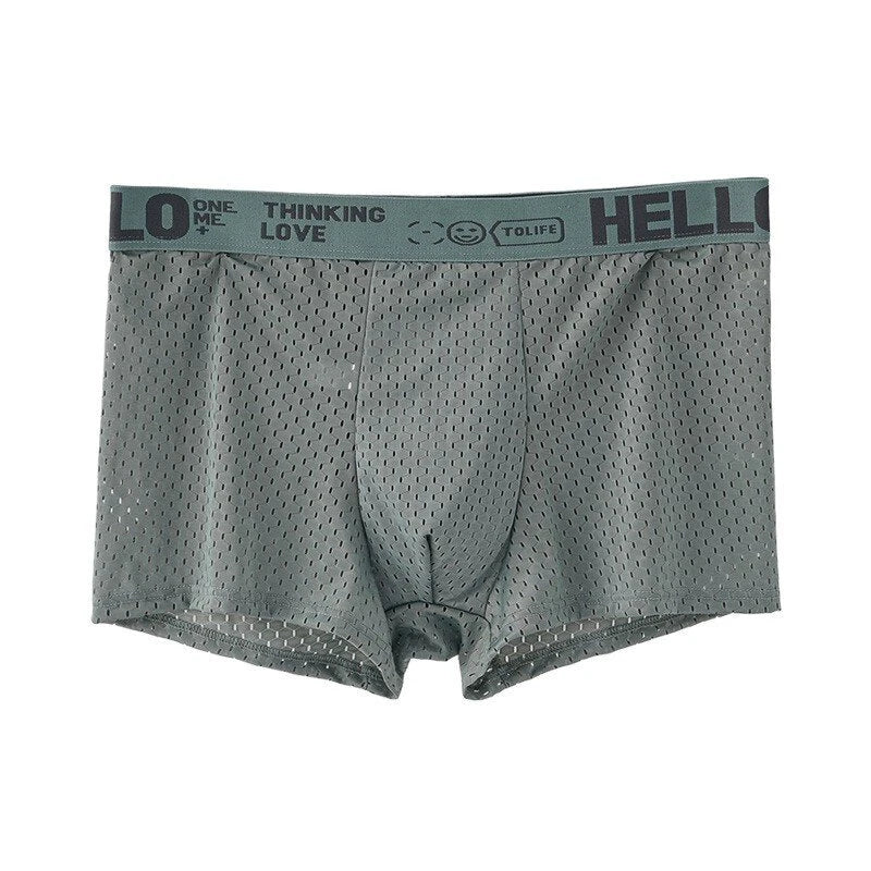 4pcs Men's Boxers Ice Silk Mesh Boxers Shorts Comfortable U Convex Pouch Underwear Loose Breathable Boxers Underpants Male Panties