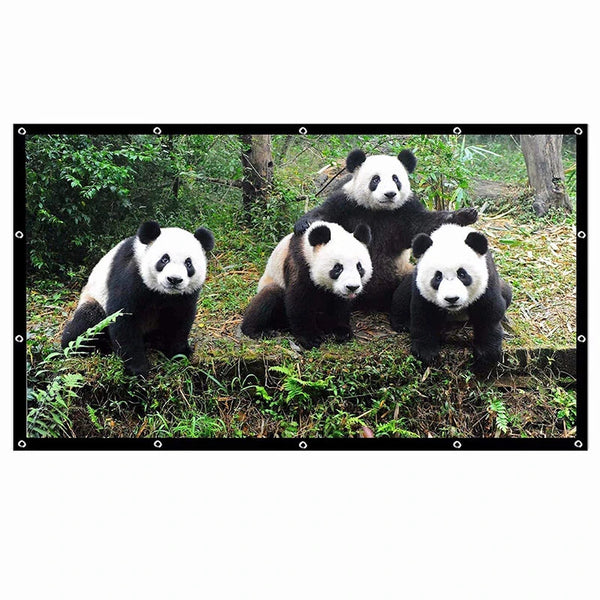 SALANGE Projector Screen 16:9 Portable Projection Screen 100/120/150 Inch Outdoor HD Movie Screen Foldable Cinema Screen for Travelling Home Theater