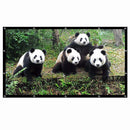 SALANGE Projector Screen 16:9 Portable Projection Screen 100/120/150 Inch Outdoor HD Movie Screen Foldable Cinema Screen for Travelling Home Theater