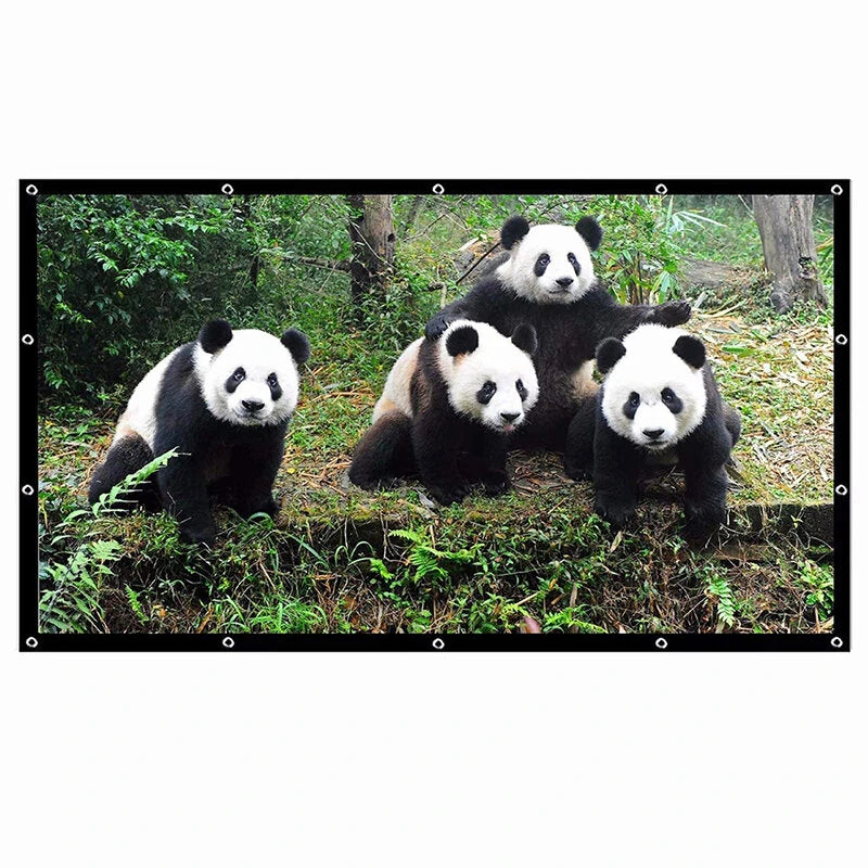 SALANGE Projector Screen 16:9 Portable Projection Screen 100/120/150 Inch Outdoor HD Movie Screen Foldable Cinema Screen for Travelling Home Theater