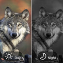 IPRee 600m Digital Zoom High Power Binocular with Night Vision 8X Magnification and  Adult Birding Cruises Safaris Outdoor Sports and Travel Kits