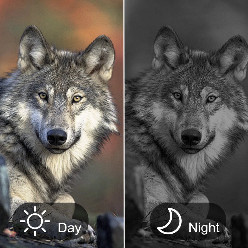 IPRee 600m Digital Zoom High Power Binocular with Night Vision 8X Magnification and  Adult Birding Cruises Safaris Outdoor Sports and Travel Kits