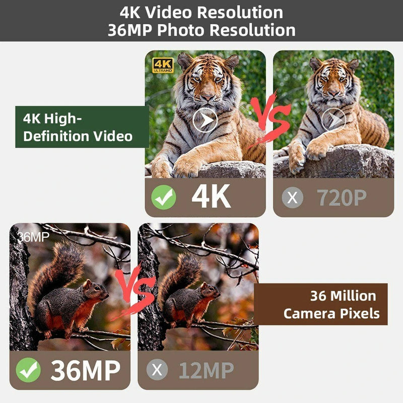 NV3280 Full-Color Night Vision Binoculars Digital Infrared Telescope with 10X Optical Zoom Large Screen Waterproof Outdoors Telescopes for Hunting