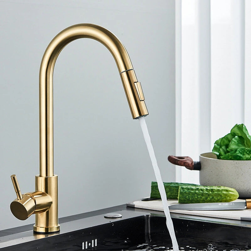 304 Stainless Steel Pull-out Faucet Straight Nozzle Kitchen Pull-Out Faucet with Sprayer Mode Steam Mode