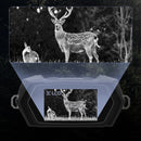 IPRee 600m Digital Zoom High Power Binocular with Night Vision 8X Magnification and  Adult Birding Cruises Safaris Outdoor Sports and Travel Kits