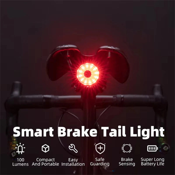 ROCKBROS WR05 100LM Smart Smart Brake Bicycle Taillight 7 Lighting Modes USB Charging 500mAH Bike Rear Light for Outdoor Night Warning Safe Cycling