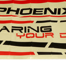 VolantexRC PhoenixS 742-7 742-3 742-6 4 Channel 1600mm Wingspan EPO RC Airplane Spare Part Decals