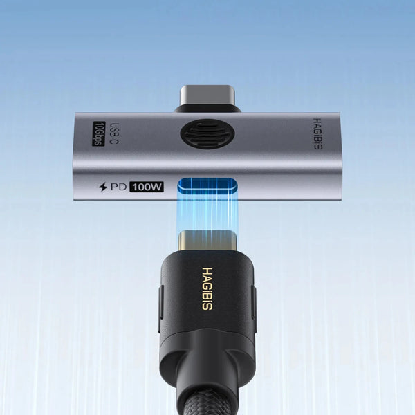 Hagibis TUA08 2-in-1 USB-C Adapter Type-C to USB-A+PD100W 10Gbps High Speed Data Dongle Adapter for Laptop Phone Tablet