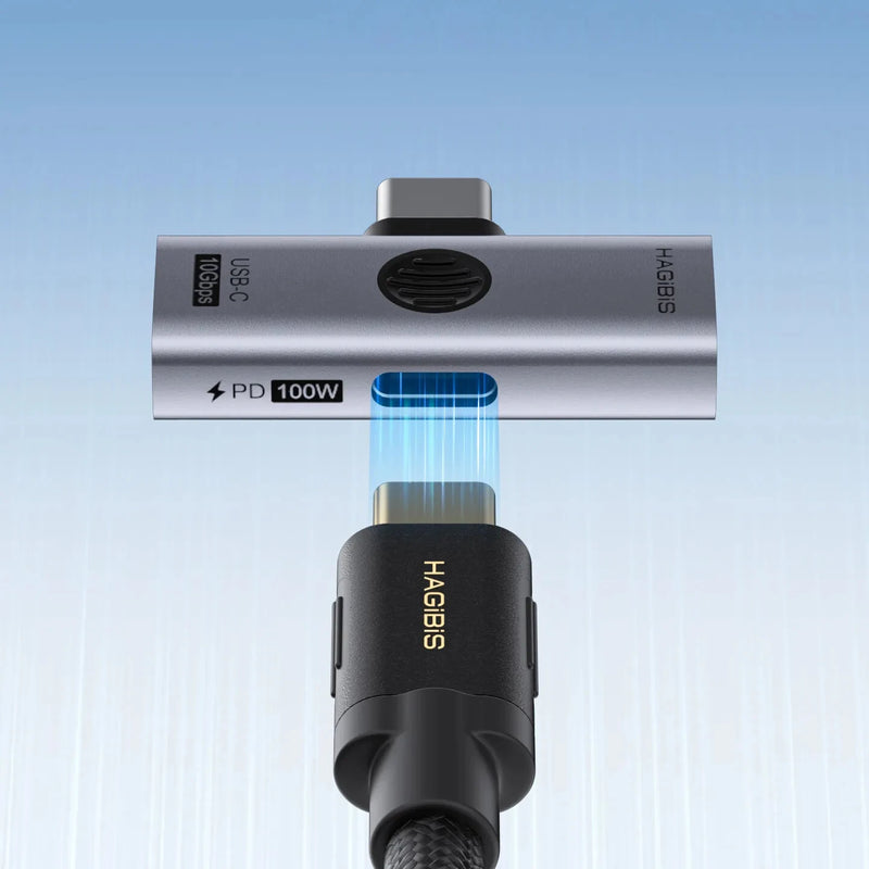 Hagibis TUA08 2-in-1 USB-C Adapter Type-C to USB-A+PD100W 10Gbps High Speed Data Dongle Adapter for Laptop Phone Tablet